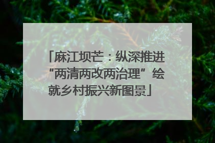 麻江坝芒：纵深推进“两清两改两治理”绘就乡村振兴新图景