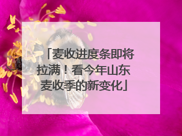 麦收进度条即将拉满！看今年山东麦收季的新变化