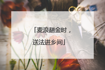 麦浪翻金时，送法进乡间