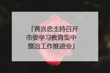 黄喜忠主持召开市委学习教育集中整治工作推进会