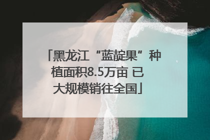 黑龙江“蓝靛果”种植面积8.5万亩 已大规模销往全国