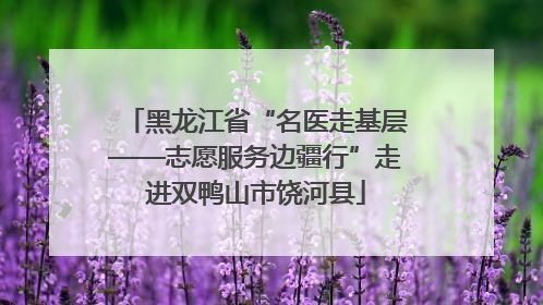 黑龙江省“名医走基层——志愿服务边疆行”走进双鸭山市饶河县