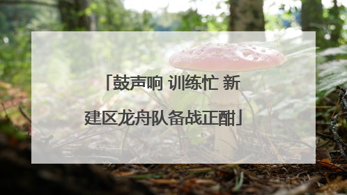 鼓声响 训练忙 新建区龙舟队备战正酣