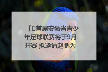 ﻿首届安徽省青少年足球联赛将于9月开赛 拟邀请赵鹏为先导赛开球