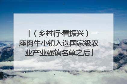 （乡村行·看振兴）一座肉牛小镇入选国家级农业产业强镇名单之后