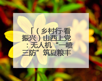（乡村行·看振兴）山西上党：无人机“一喷三防”筑夏粮丰收屏障