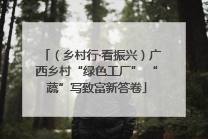 （乡村行·看振兴）广西乡村“绿色工厂” “蔬”写致富新答卷