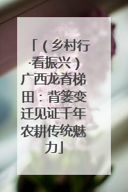 （乡村行·看振兴）广西龙脊梯田：背篓变迁见证千年农耕传统魅力