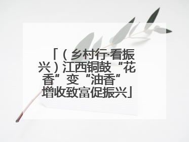 （乡村行·看振兴）江西铜鼓“花香”变“油香” 增收致富促振兴