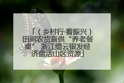 （乡村行·看振兴）田间农货直供“养老餐桌” 浙江缙云银发经济盘活山区资源
