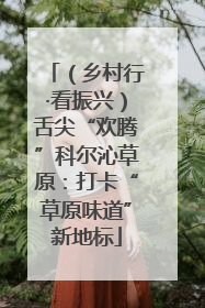 （乡村行·看振兴）舌尖“欢腾”科尔沁草原：打卡“草原味道”新地标