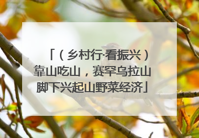 （乡村行·看振兴）靠山吃山，赛罕乌拉山脚下兴起山野菜经济