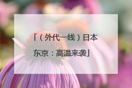 （外代一线）日本东京：高温来袭