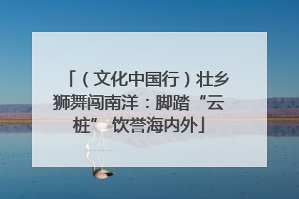 （文化中国行）壮乡狮舞闯南洋：脚踏“云桩” 饮誉海内外