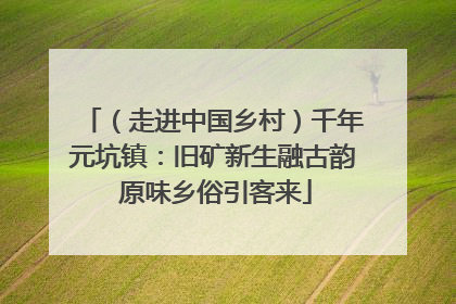 （走进中国乡村）千年元坑镇：旧矿新生融古韵 原味乡俗引客来