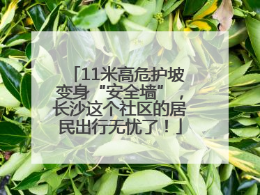 11米高危护坡变身“安全墙”，长沙这个社区的居民出行无忧了！