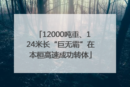 12000吨重、124米长“巨无霸”在本桓高速成功转体