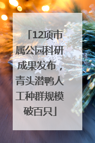 12项市属公园科研成果发布，青头潜鸭人工种群规模破百只