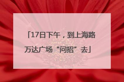 17日下午，到上海路万达广场“问招”去
