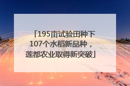 195亩试验田种下107个水稻新品种，莲都农业取得新突破