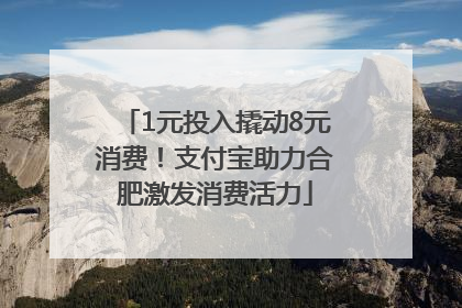 1元投入撬动8元消费！支付宝助力合肥激发消费活力