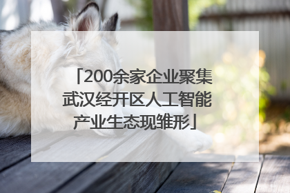 200余家企业聚集 武汉经开区人工智能产业生态现雏形