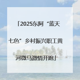 2025东阿“蓝天七色”乡村振兴职工黄河微马激情开跑