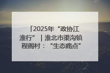2025年“政协江淮行”｜淮北市渠沟镇程阁村：“生态痛点”变“生态景观”