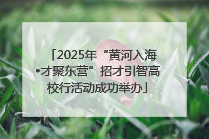 2025年“黄河入海•才聚东营”招才引智高校行活动成功举办