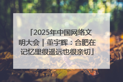 2025年中国网络文明大会｜董宇辉：合肥在记忆里很遥远也很亲切