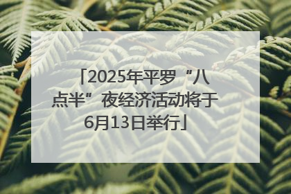 2025年平罗“八点半”夜经济活动将于6月13日举行