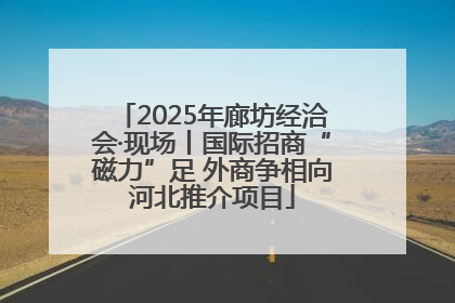 2025年廊坊经洽会·现场丨国际招商“磁力”足 外商争相向河北推介项目