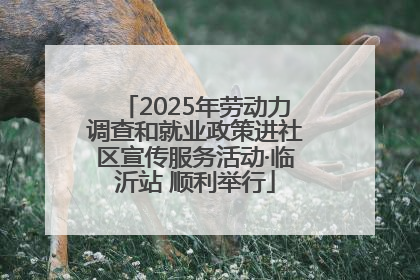 2025年劳动力调查和就业政策进社区宣传服务活动·临沂站 顺利举行
