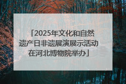2025年文化和自然遗产日非遗展演展示活动在河北博物院举办