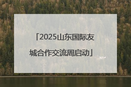 2025山东国际友城合作交流周启动
