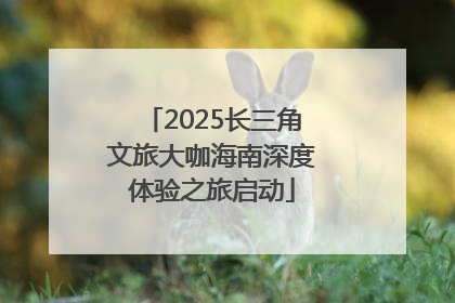 2025长三角文旅大咖海南深度体验之旅启动