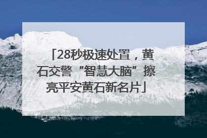 28秒极速处置，黄石交警“智慧大脑”擦亮平安黄石新名片