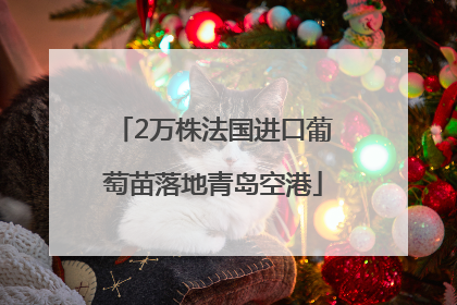 2万株法国进口葡萄苗落地青岛空港