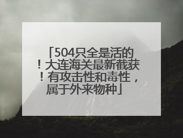504只全是活的！大连海关最新截获！有攻击性和毒性，属于外来物种
