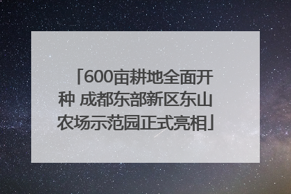 600亩耕地全面开种 成都东部新区东山农场示范园正式亮相