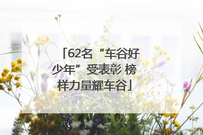62名“车谷好少年”受表彰 榜样力量耀车谷