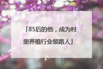 85后的他，成为村里养殖行业领路人