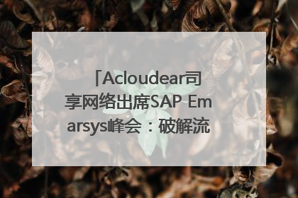 Acloudear司享网络出席SAP Emarsys峰会：破解流量困局，驱动精准增长