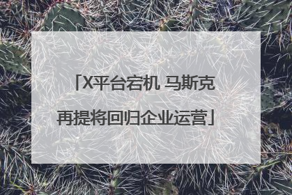 X平台宕机 马斯克再提将回归企业运营