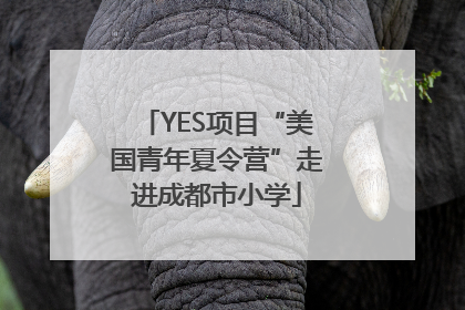 YES项目“美国青年夏令营”走进成都市小学