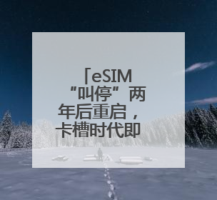 eSIM“叫停”两年后重启，卡槽时代即将迈向芯片时代？